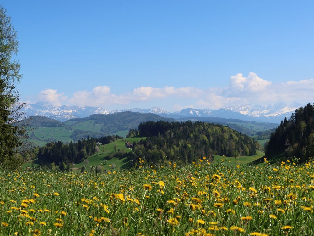 Säntis bis Churfirsten