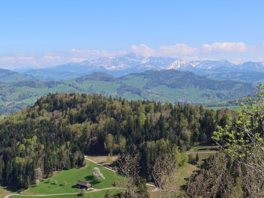 Säntis bis Lütispitz