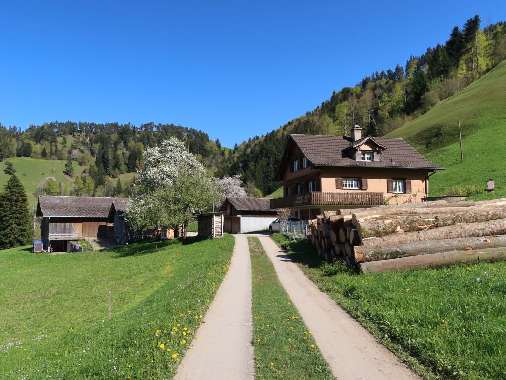 Bauernhof oberhalb Cholwis