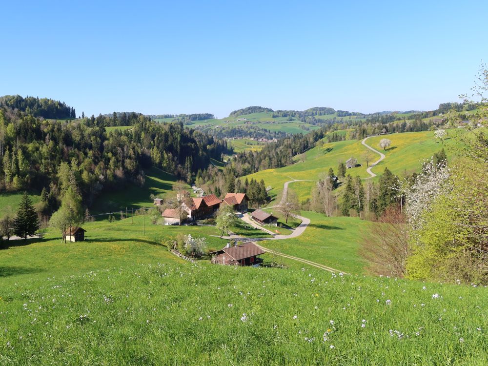 Wiesen