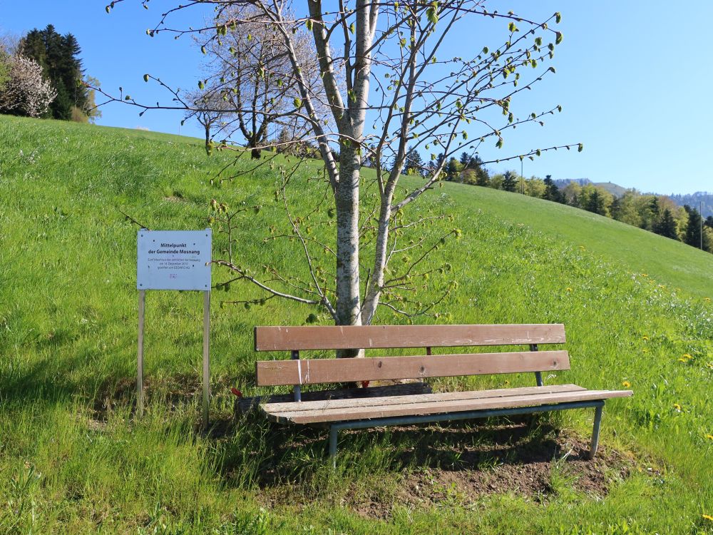 Mittelpunkt der Gemeinde Mosnang
