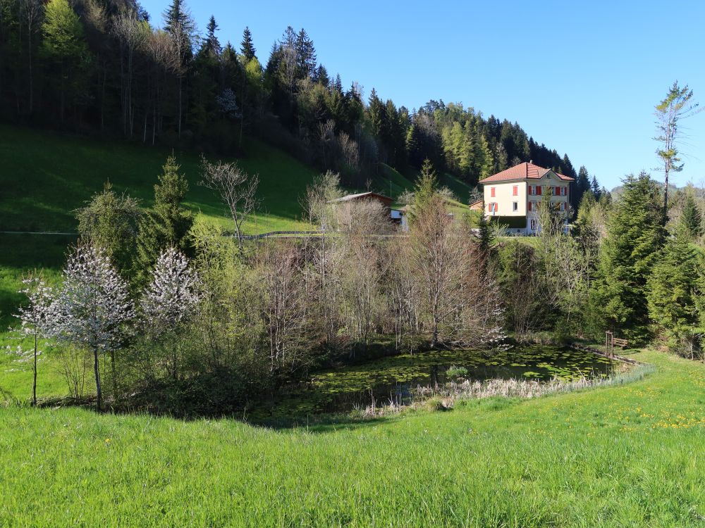 Nothüsli
