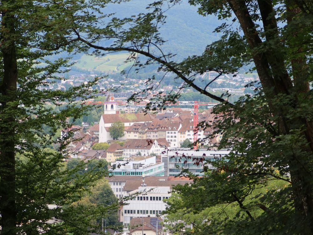 Blick auf Aarau