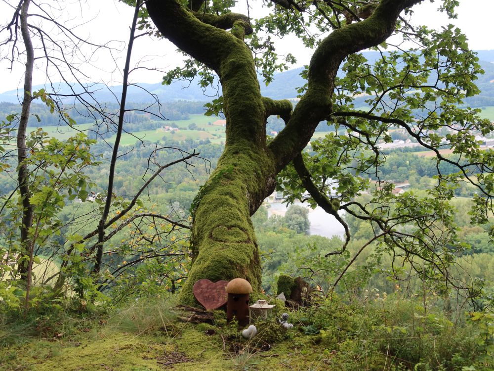 Gedenkstätte am bemoosten Baum