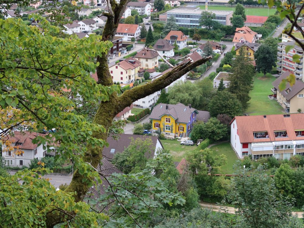 Bunteshaus in Schonenwerd