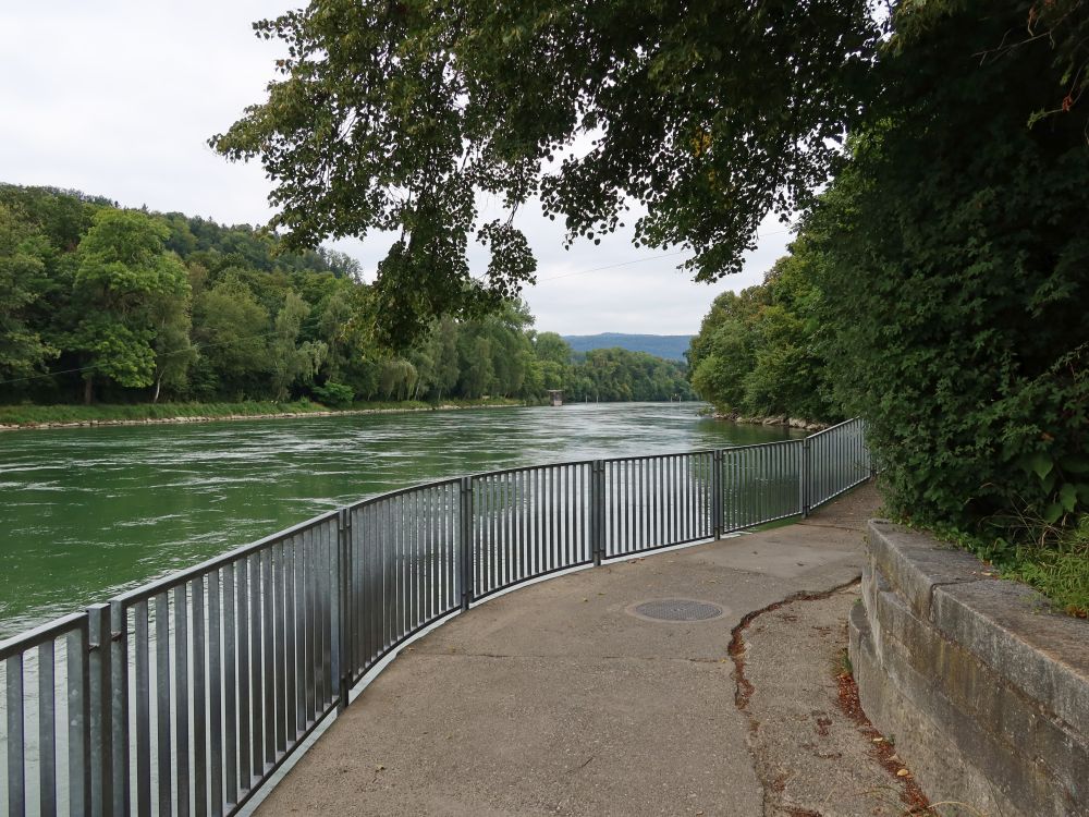 Fussweg an der Aare