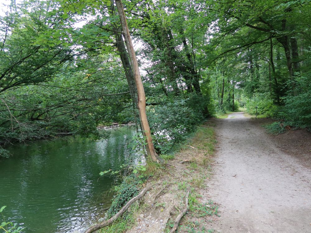 Fussweg an der Aare