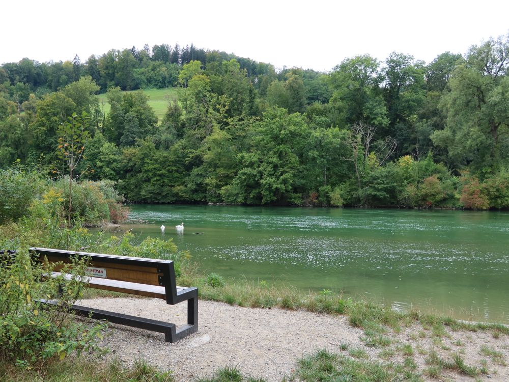 Sitzbank an der Aare