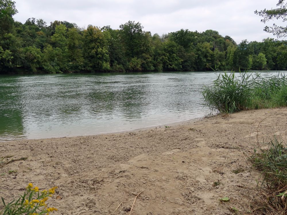 Sandufer an der Aare