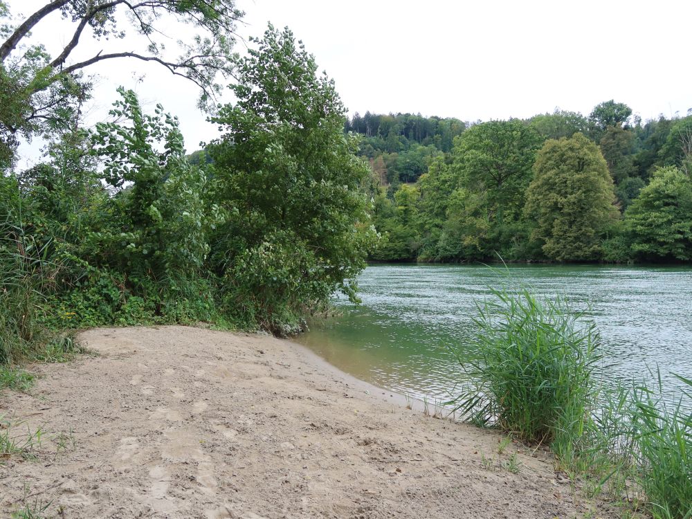 Sandufer an der Aare