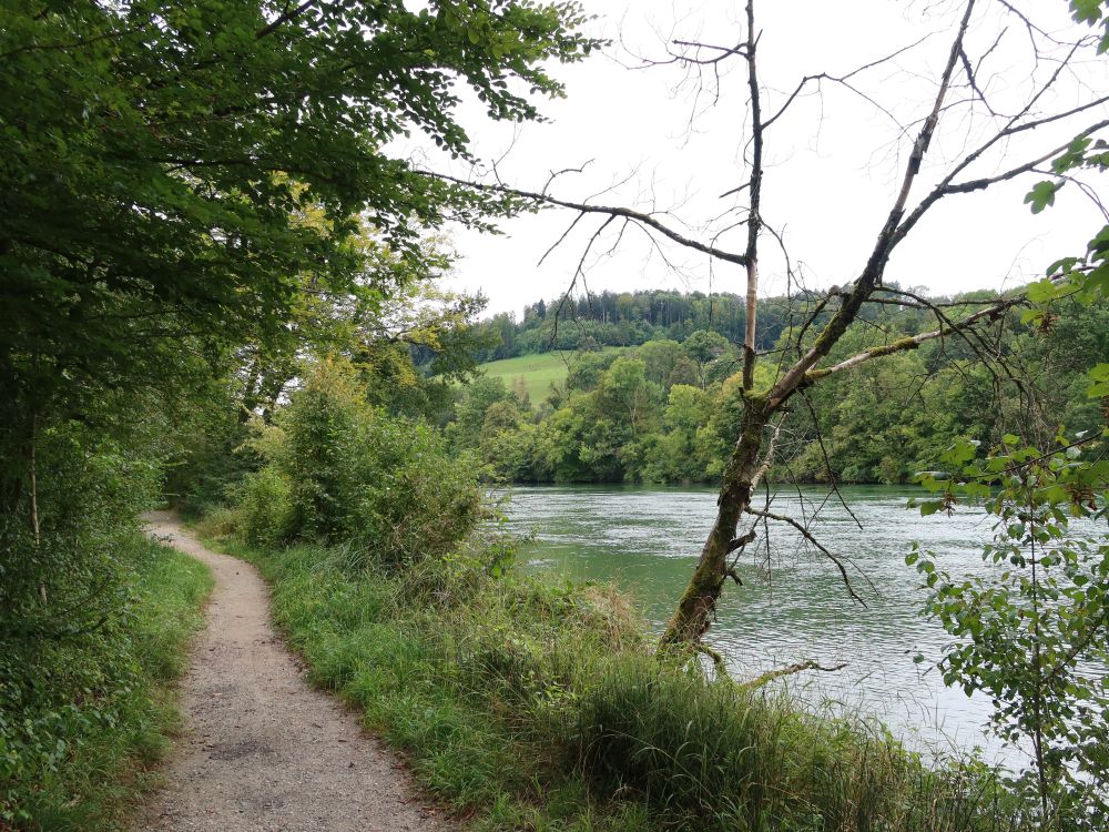 Weg an der Aare