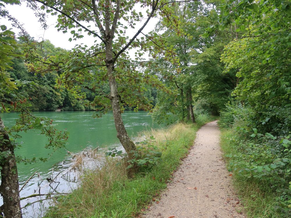 Weg an der Aare