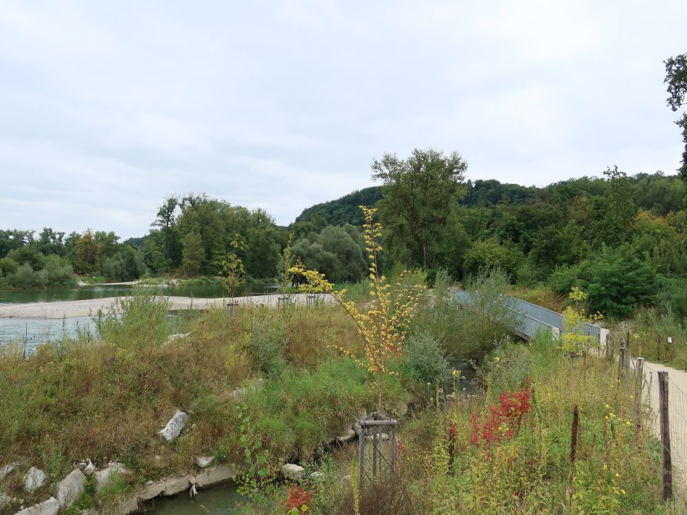 Fischpass und Brücke