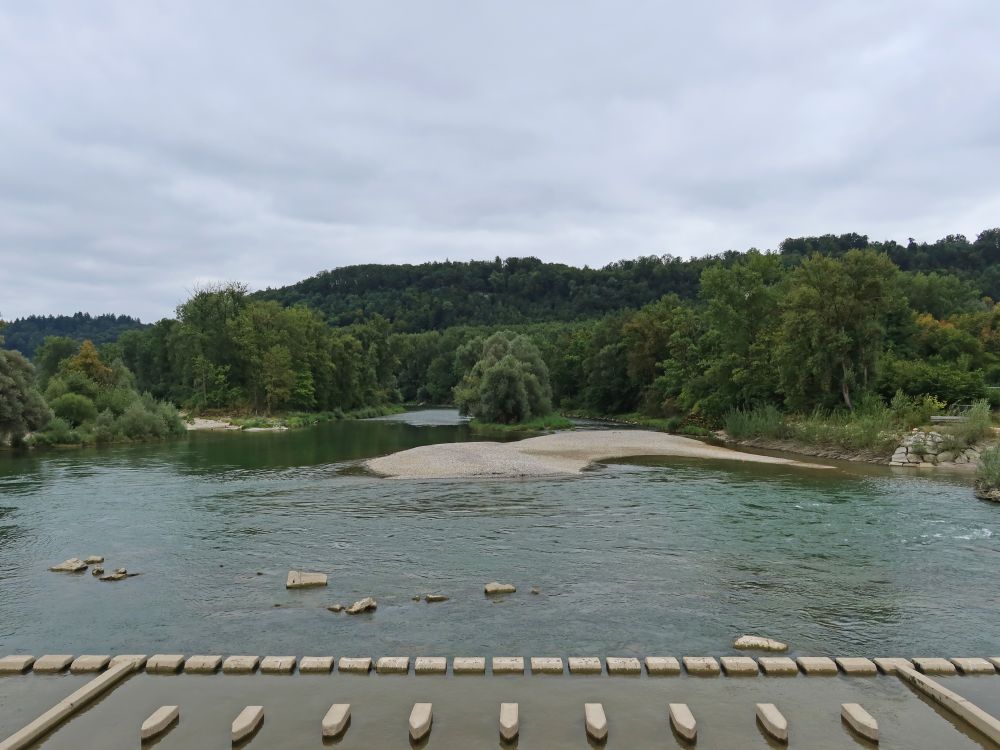 Kiesbank in der Aare