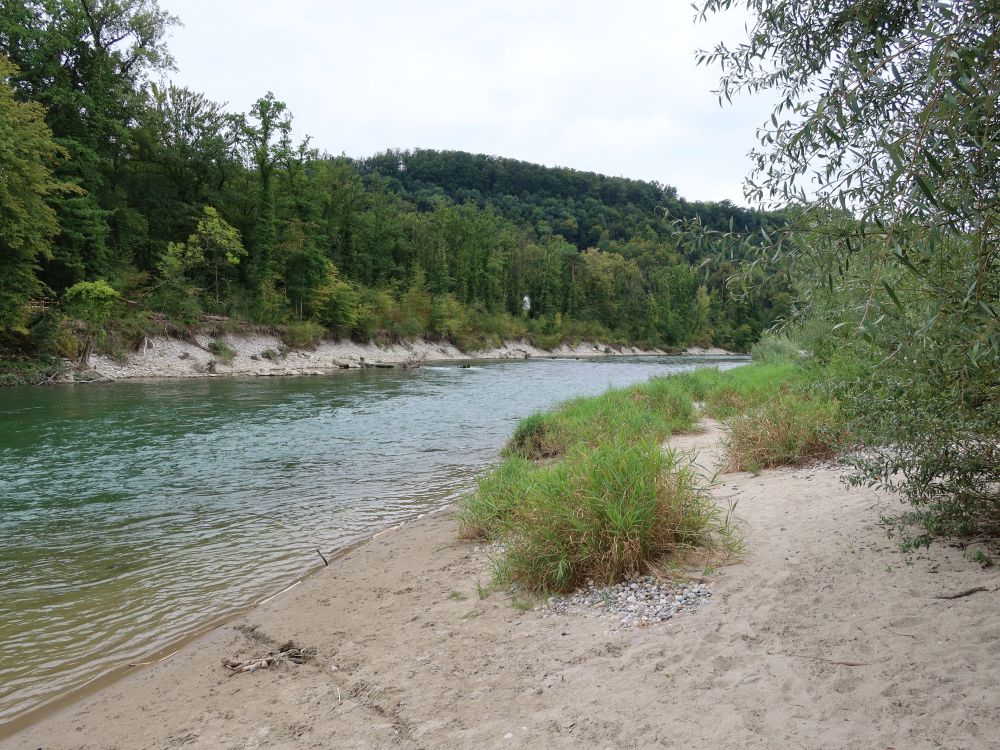 Sandufer an der Aare