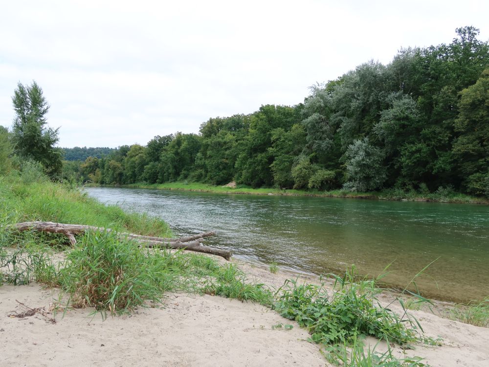 Sandufer an der Aare