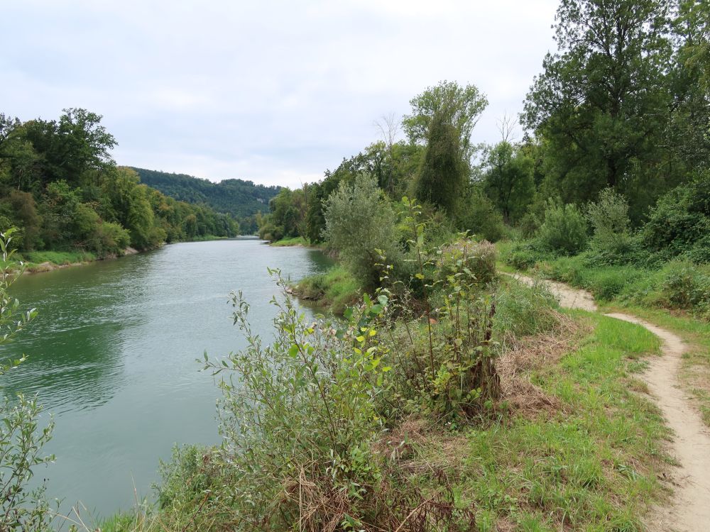 Pfad an der Aare