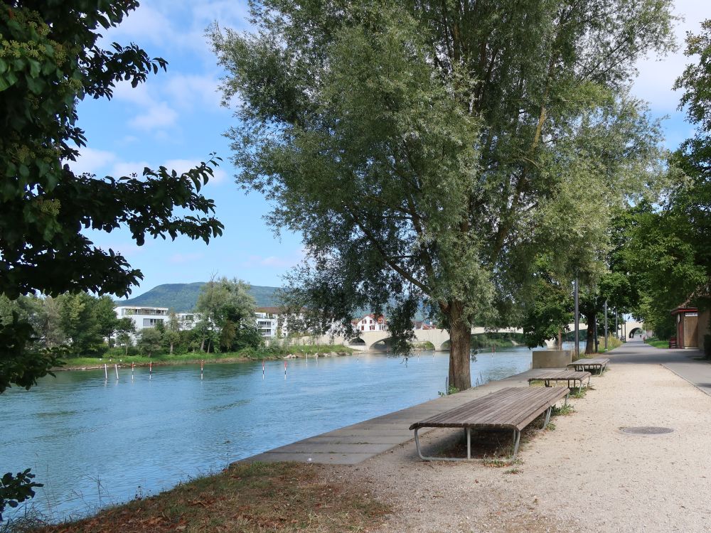 Sitzbänke an der Aare