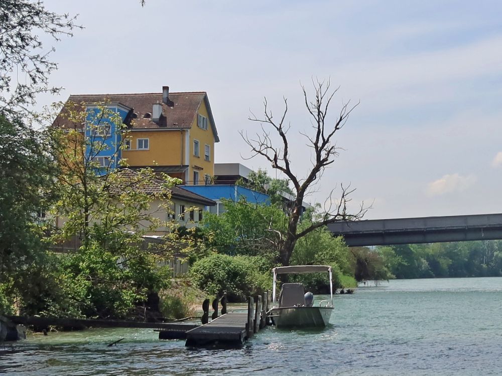 Kahn am Rheinufer