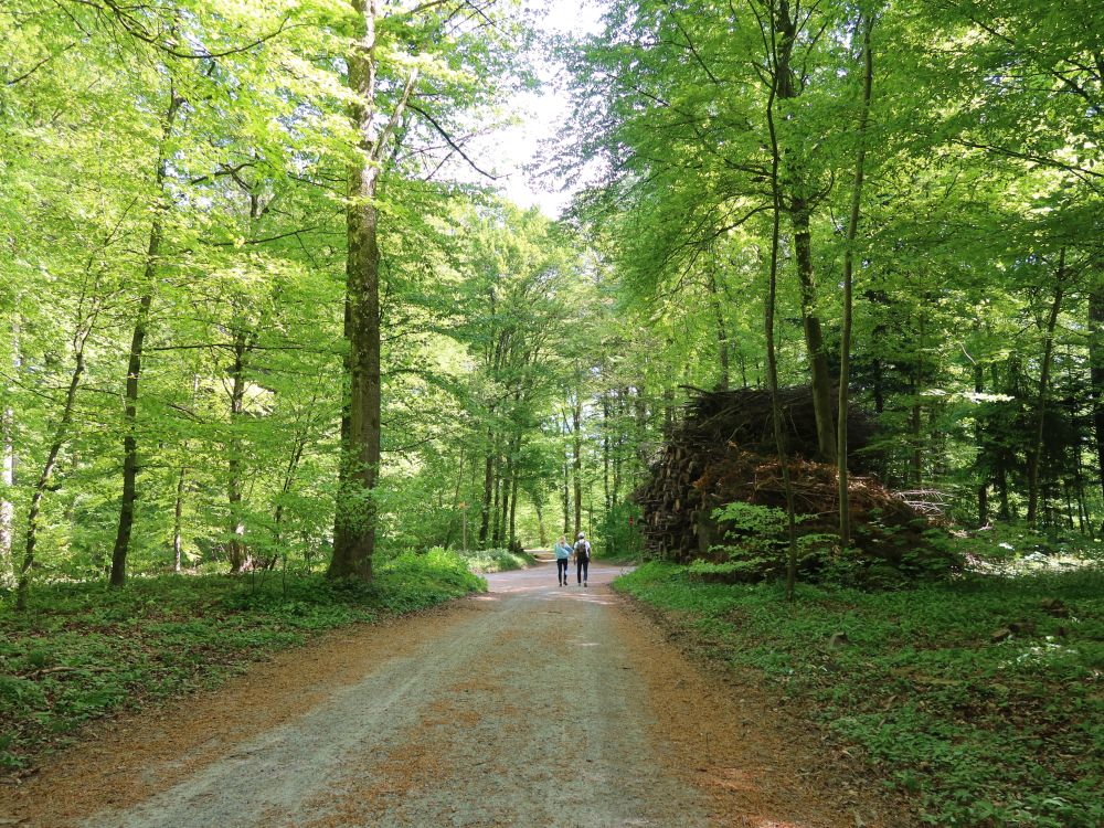 Huebweg