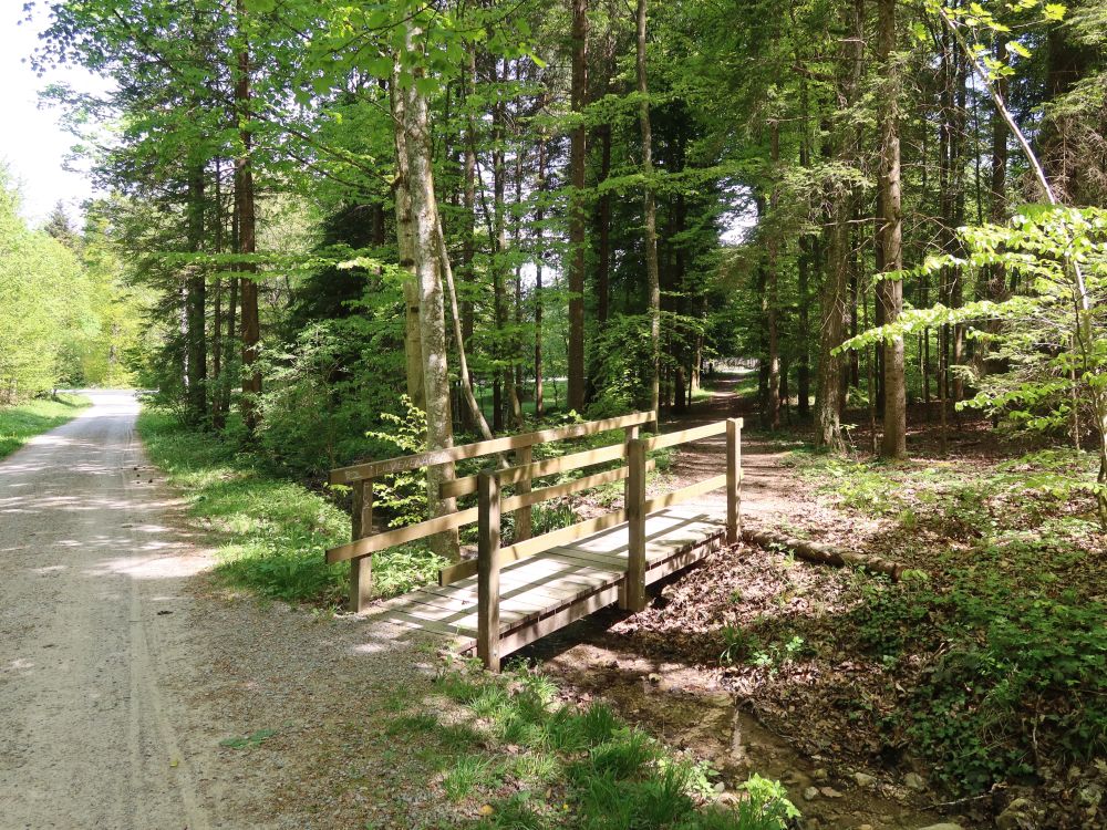 Steg am Huebweg