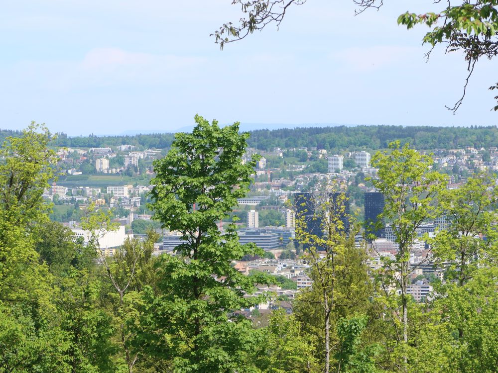 Zürich Hard