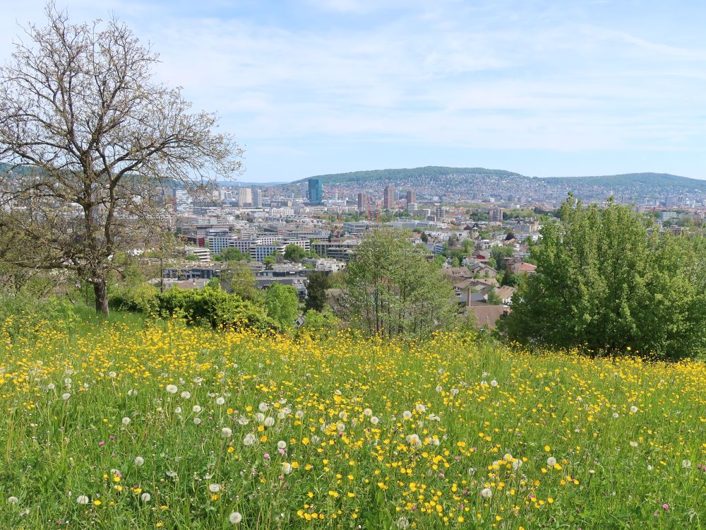 Bilck Richtung Zürich