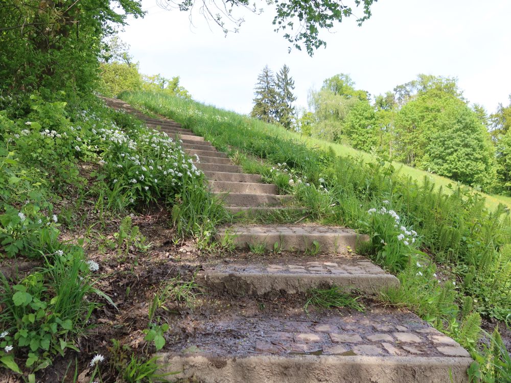 Treppe Im Schaber