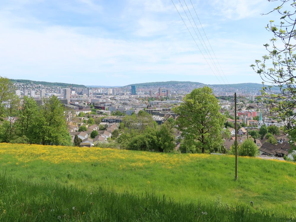 Blick Richtung Zürich