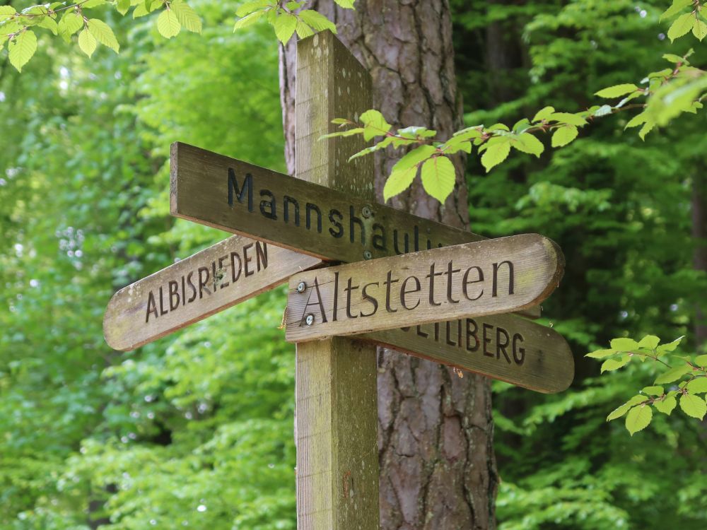 Wegweiser