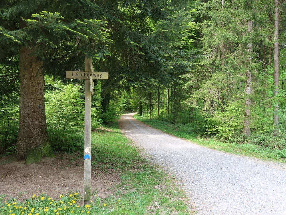 Wegtafel am Lärchenweg