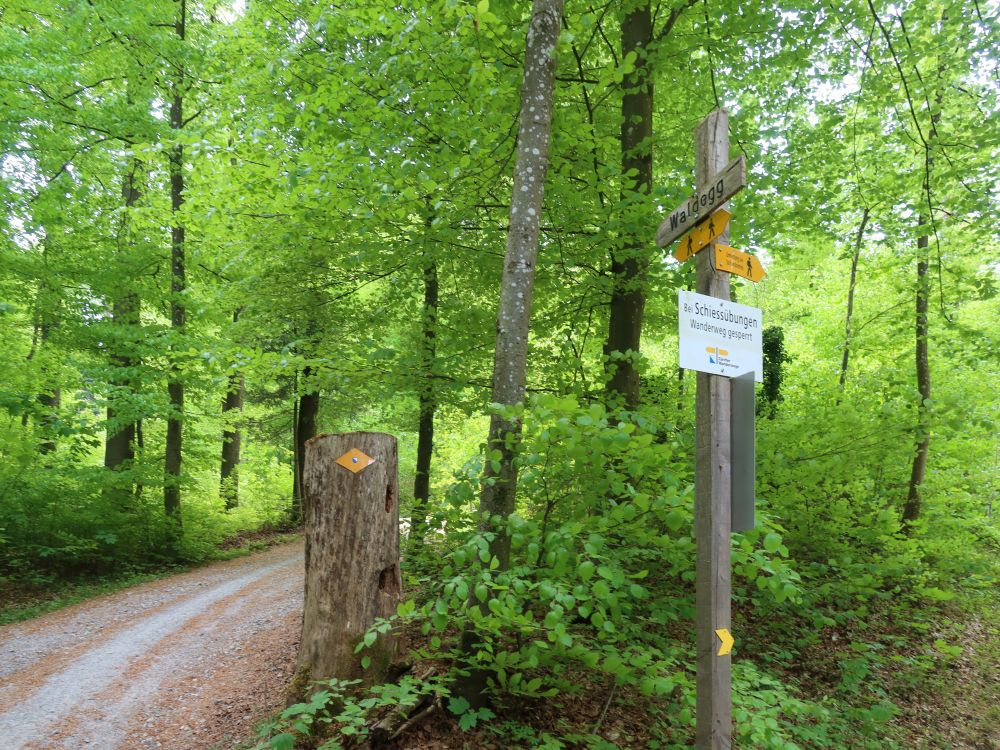 Weg zum Waldegg