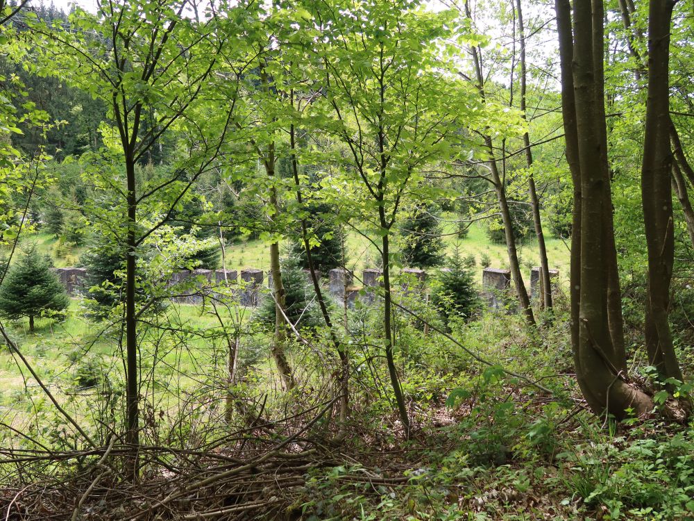 Panzersperren