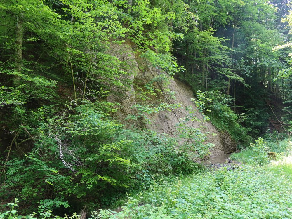 Erosion an der Murg