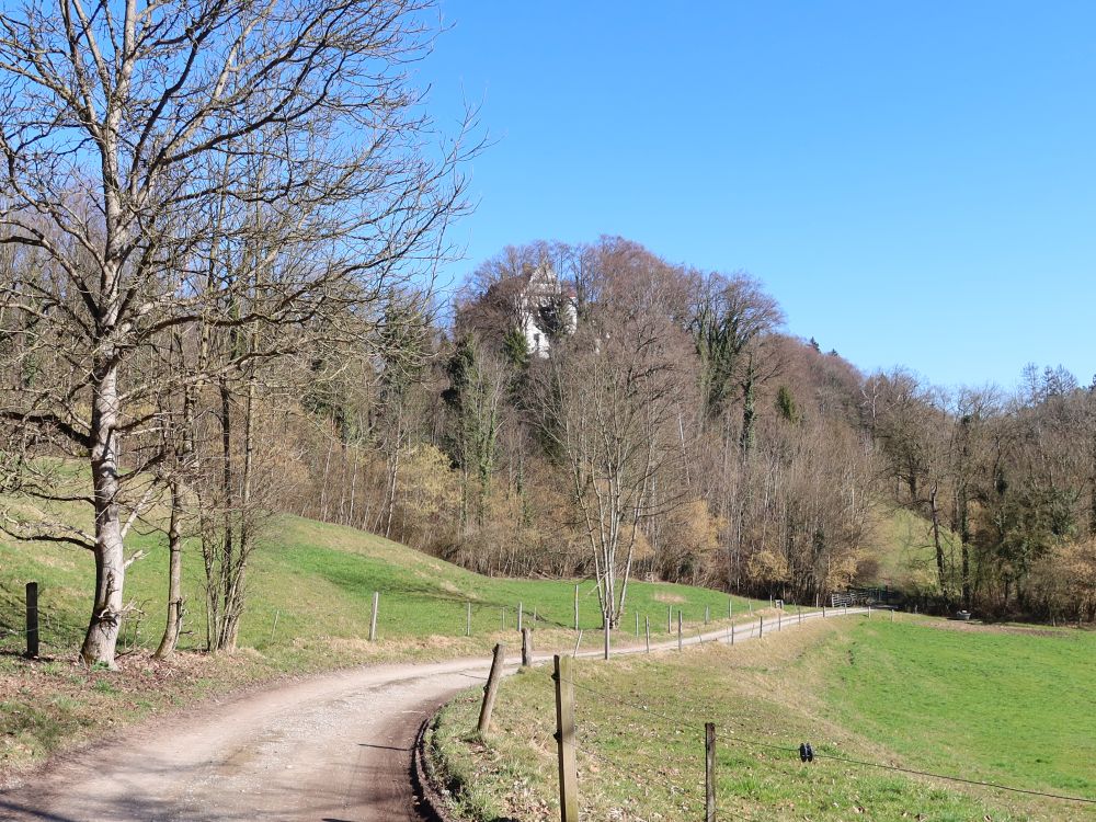 Weg zur Klingenmühle