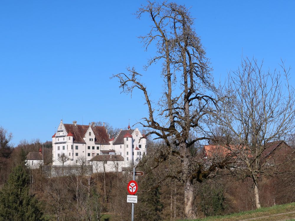 Schloss Altenklingen