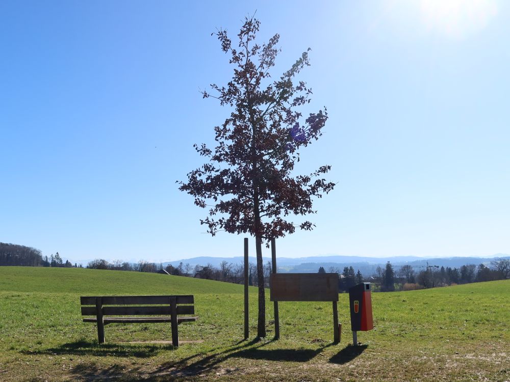 Sitzbank am Pfaffengartenweg