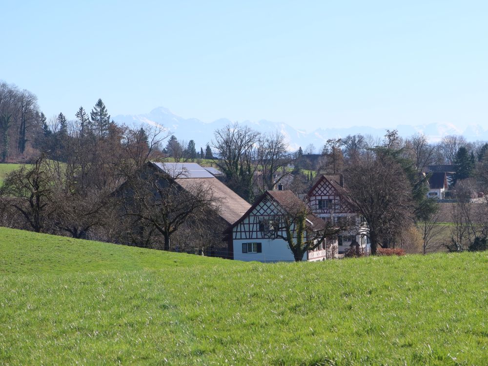 Geissbühl und Säntis im Dunst
