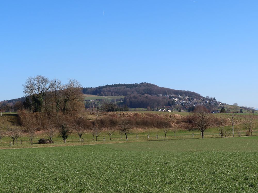 Blick zum Ottoberg