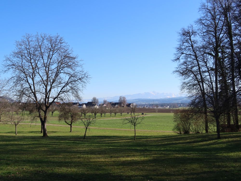Blick Richtung Hof und Säntis