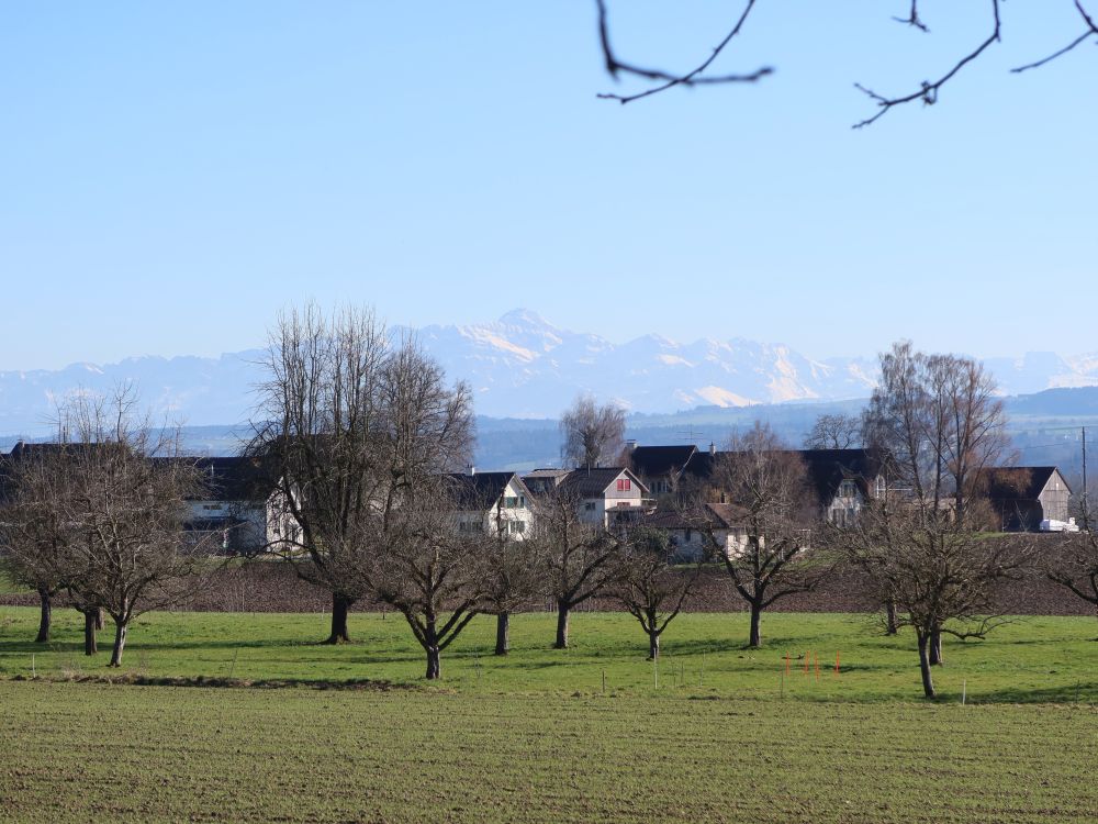 Hof und Säntis