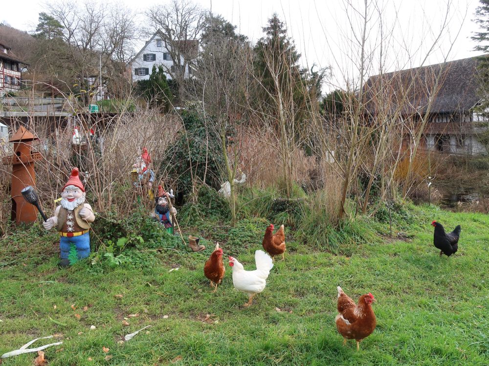 Hühner und Gartenzwerge