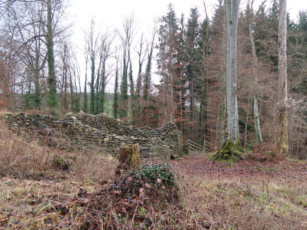 Ruine Altenburg