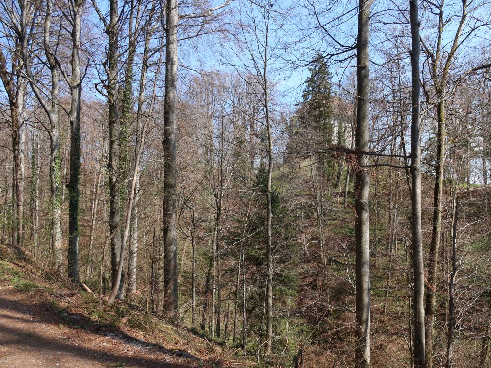 Schloss Oberberg hinter Bäumen