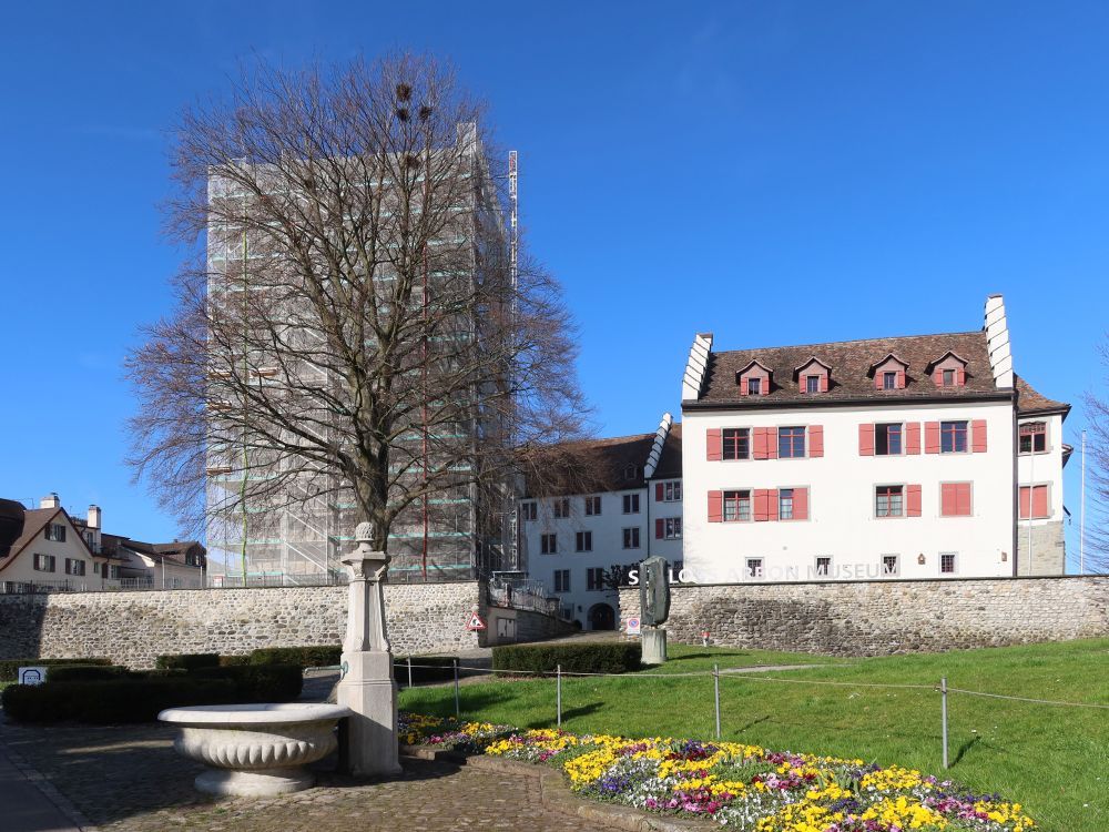 Schloss Arbon
