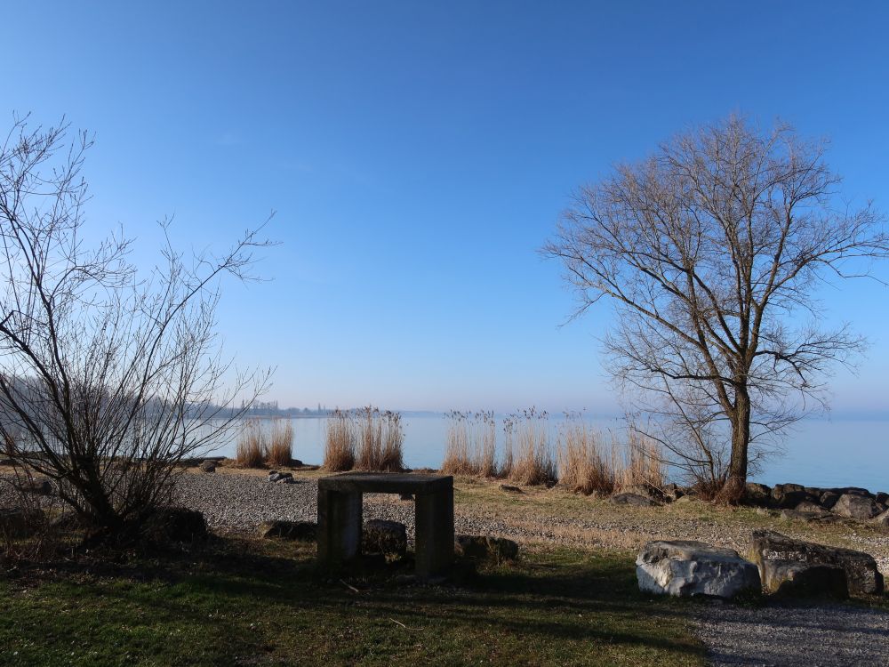 Uferbereich am Seepark