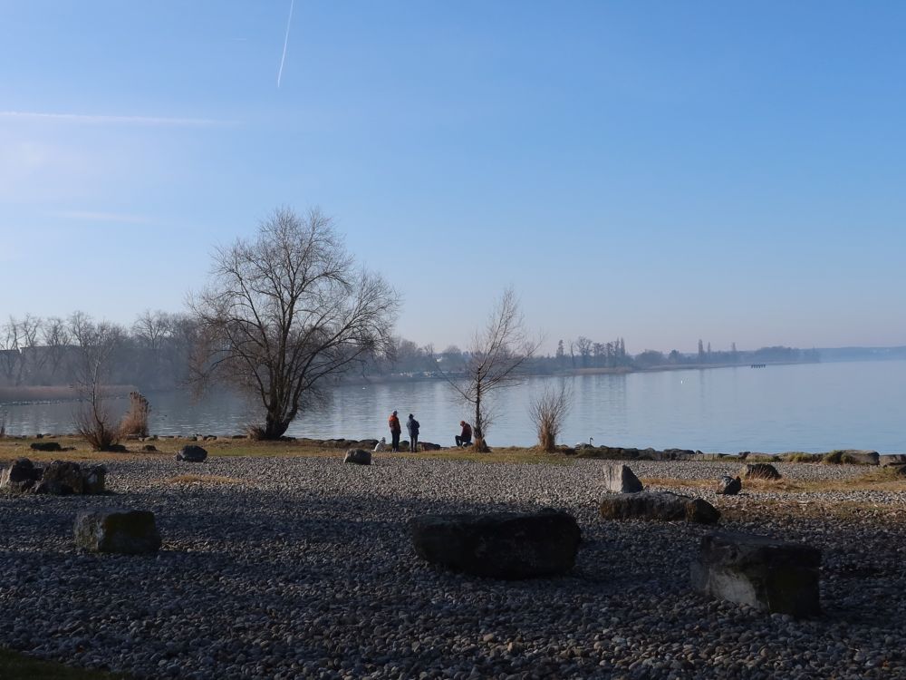 Uferbereich am Seepark