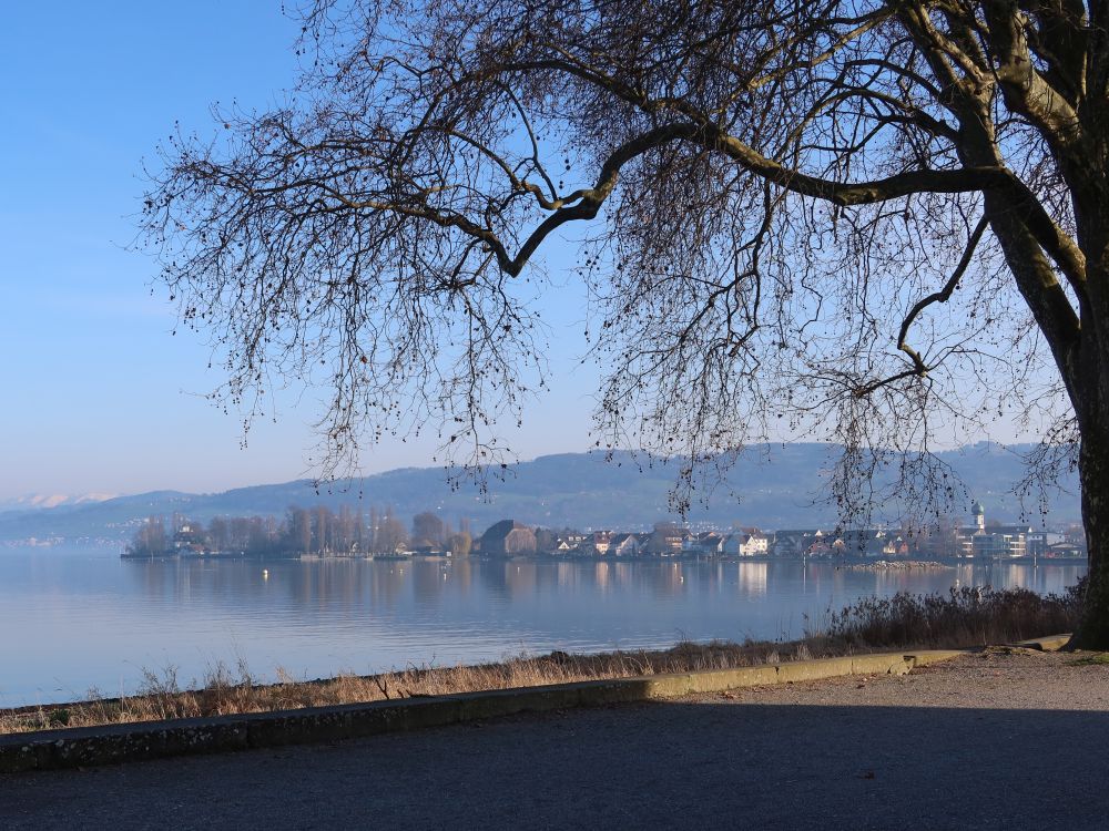 Blick Richtung Steinach