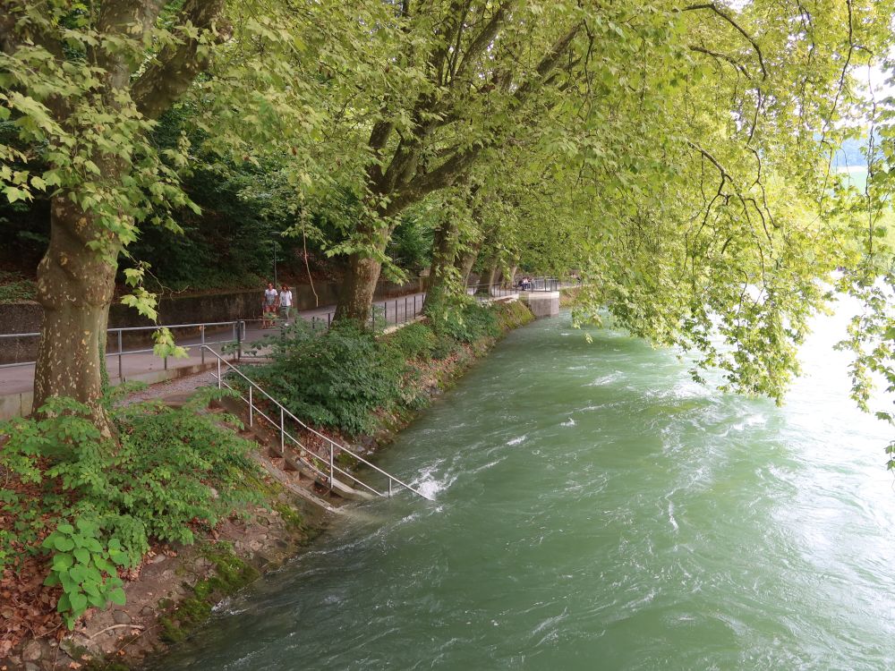Limmatpromenade