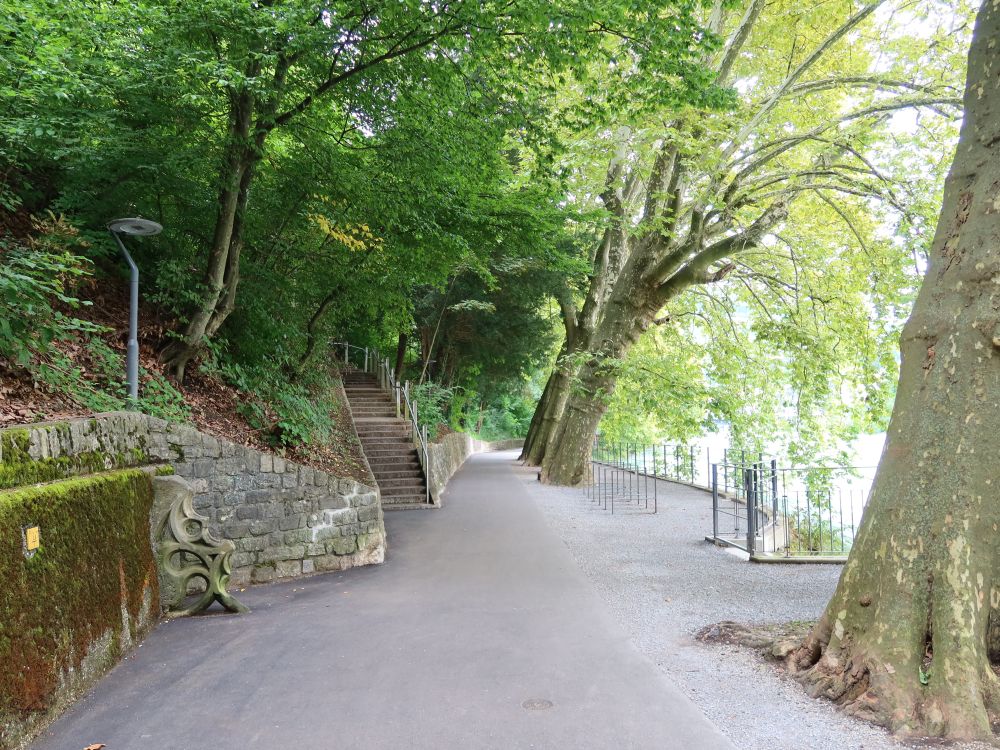 Limmatpromenade